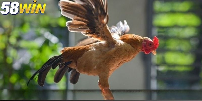 Một trong những yếu tố được đánh giá cao đó là tính minh bạch