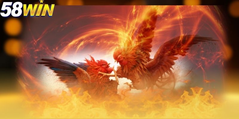Người chơi cần nghiên cứu kỹ lưỡng về các chiến kê